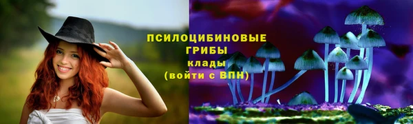 mix Алексин