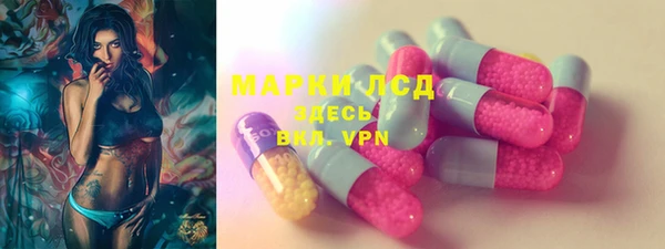 PSILOCYBIN Алзамай
