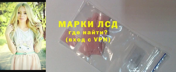 PSILOCYBIN Алзамай