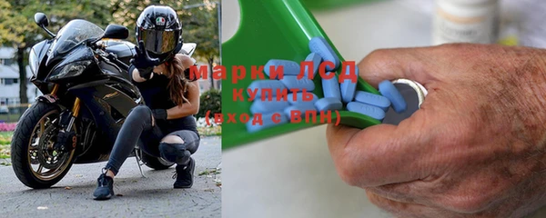 PSILOCYBIN Алзамай