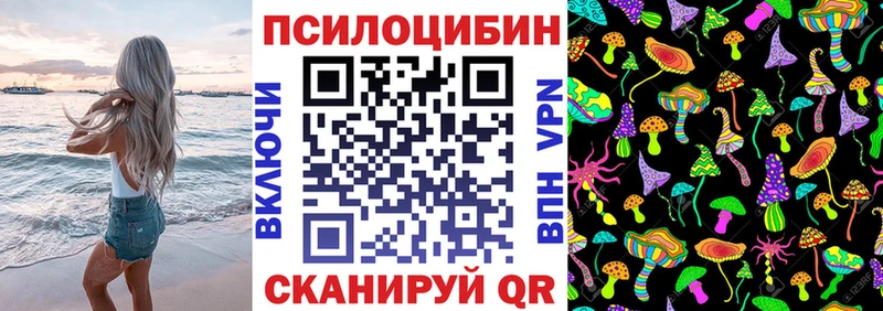 наркотики Медынь Псилоцибиновые грибы Magic Shrooms